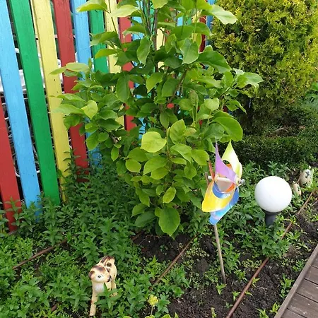 Mirana Family Otel 3*