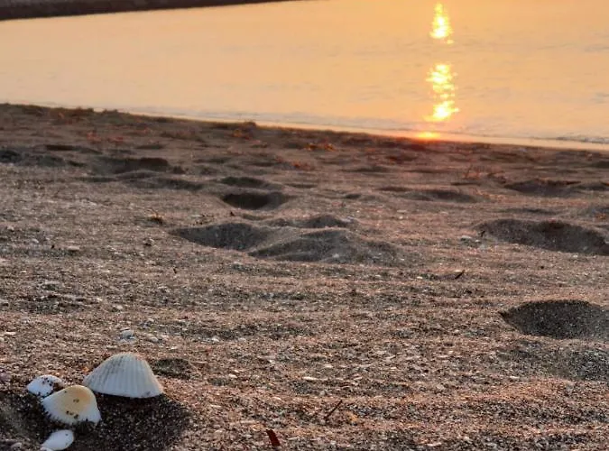 מלון Mirana Family בורגאס