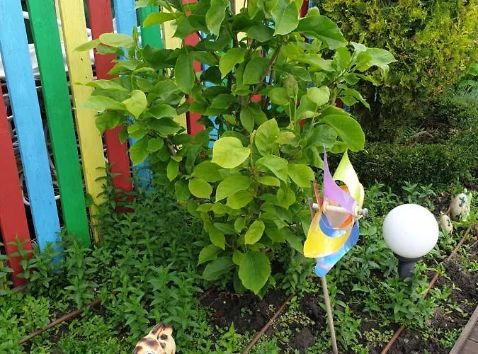 Mirana Family Hotel 3*